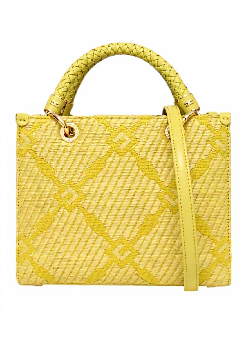 Borsa a mano Elisabetta Franchi Curry su sfondo neutro