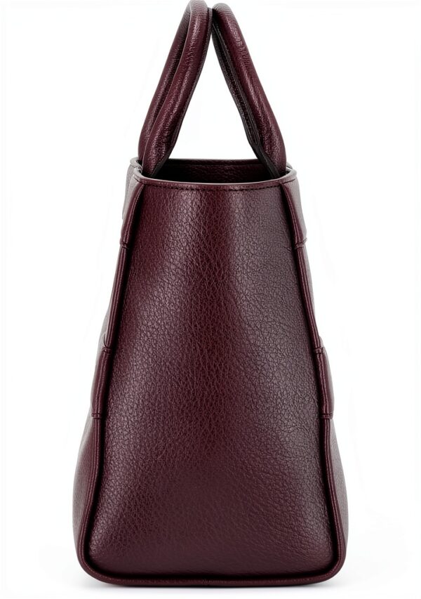 Borsa Elisabetta Franchi Donna Merlot-1