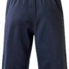 Mizuno Nara Training Short Unisex Adulto Navy-1